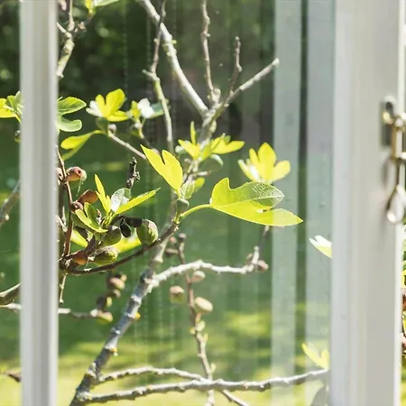 Apartamento 5606-gudhjem-holkavej-12 *